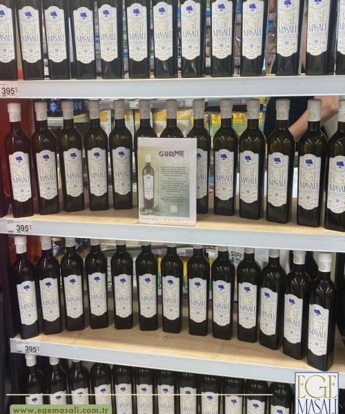 446641989 1349648219040060 2535586828446163046 n