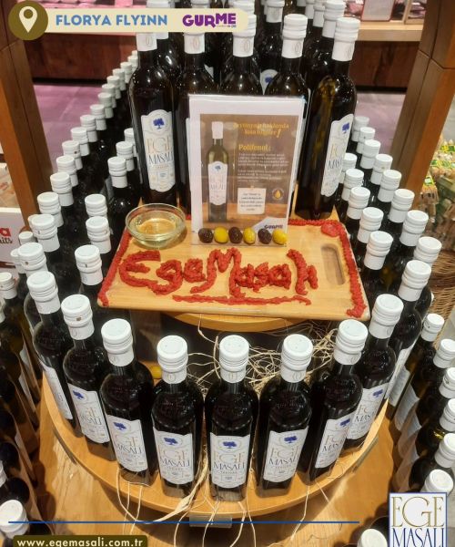 447096902 1512099619685103 29755105278774908 n